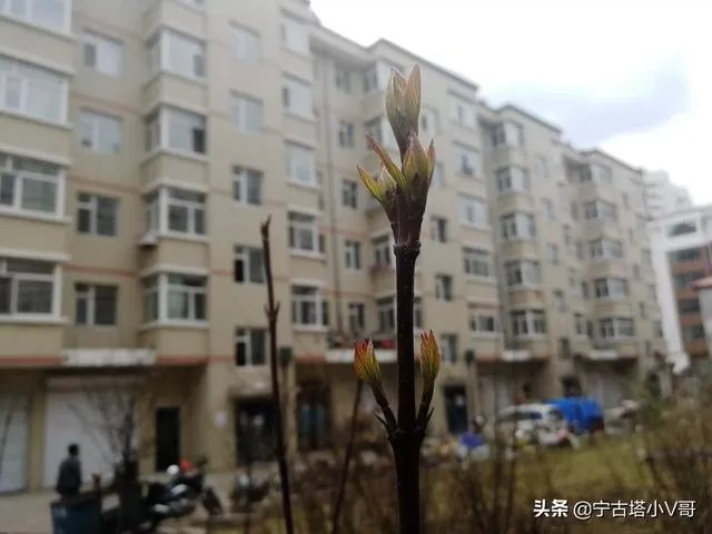 吉林封城是什么原因?