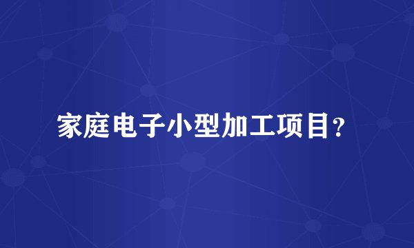 家庭电子小型加工项目？