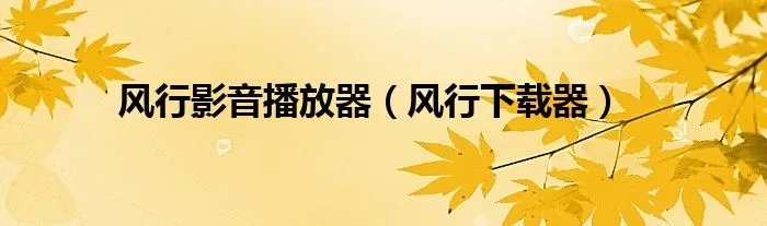风行影音播放器（风行下载器）