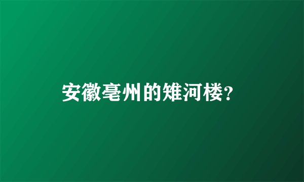 安徽亳州的雉河楼?