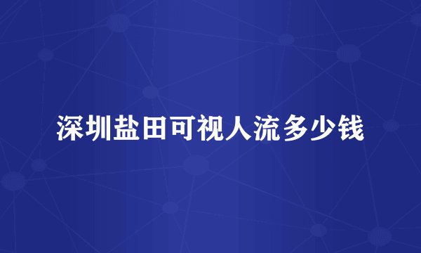深圳盐田可视人流多少钱
