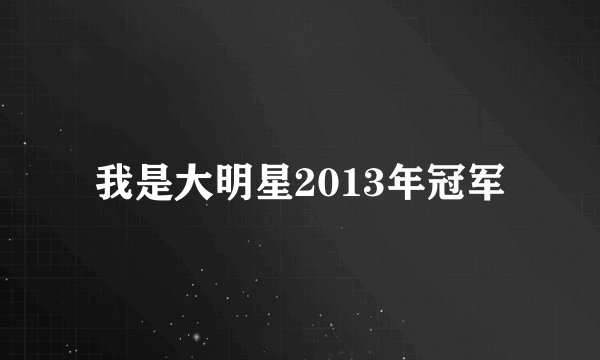 我是大明星2013年冠军