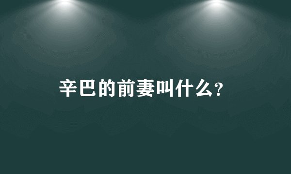 辛巴的前妻叫什么?
