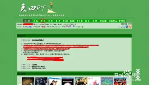 麦田PT的介绍