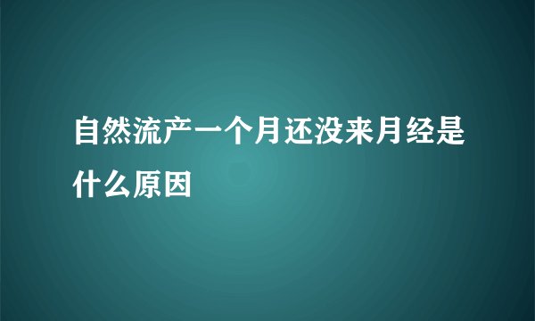 自然流产一个月还没来月经是什么原因