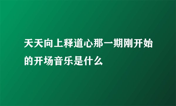 天天向上释道心那一期刚开始的开场音乐是什么