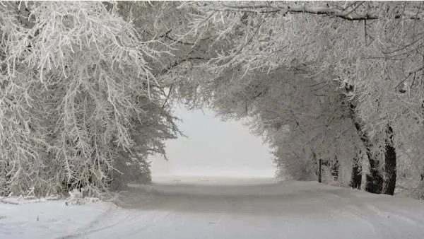 北京今冬降雪为何会如此猛烈？这波寒潮会持续多久？