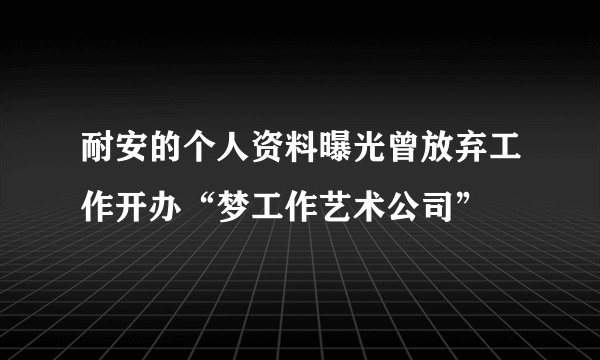 耐安的个人资料曝光曾放弃工作开办“梦工作艺术公司”