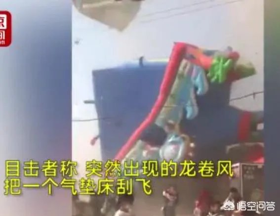 河南商丘龙卷风,上万亩梨园被毁,今年梨价会迎来一轮增长吗?
