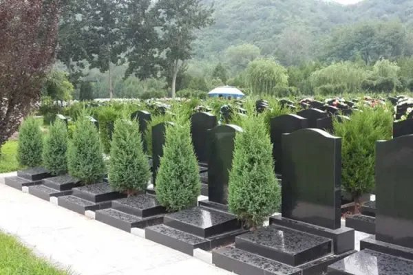 北京三甲医院“天价殡葬费”涉事公司被罚565万,殡葬行业还有哪些乱象?