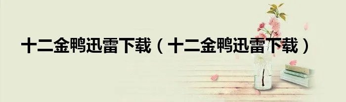 十二金鸭迅雷下载（十二金鸭迅雷下载）