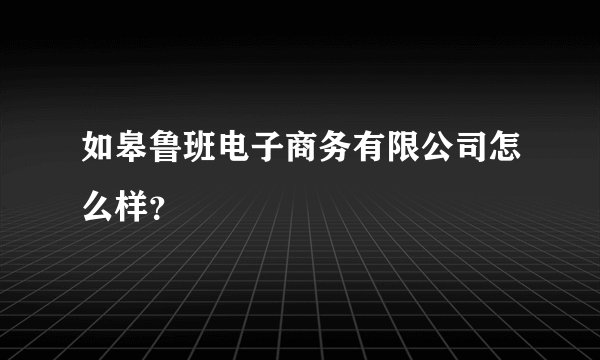 如皋鲁班电子商务有限公司怎么样？