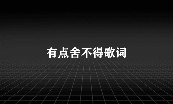 有点舍不得歌词