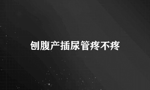 刨腹产插尿管疼不疼