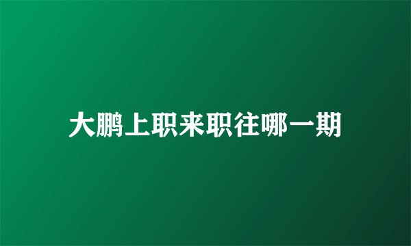 大鹏上职来职往哪一期