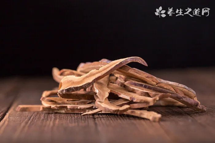 给猫减肥一天吃多少合适(减肥一天吃多少主食)