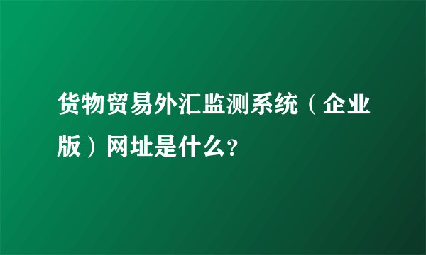 货物贸易外汇监测系统(企业版)网址是什么?