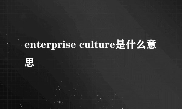 enterprise culture是什么意思