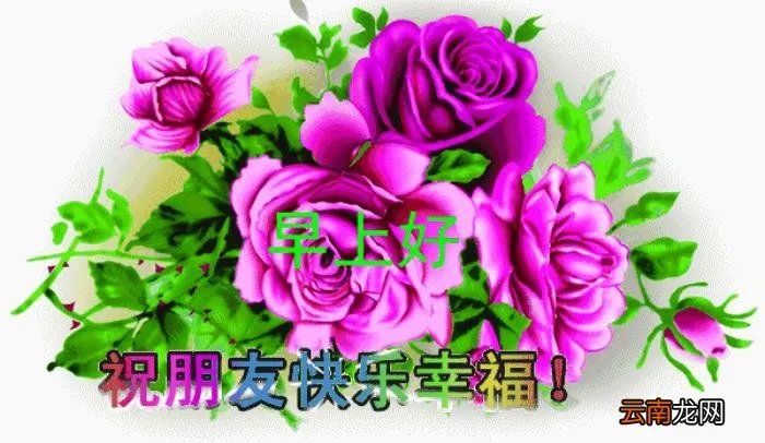 亲爱的最美早晨好动态图片大全 情人早上问候语动态图片
