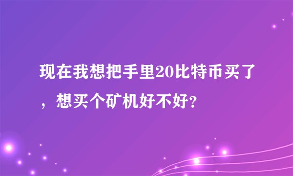 现在我想把手里20比特币买了，想买个矿机好不好？