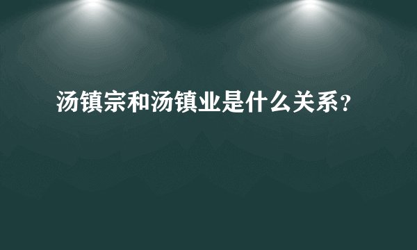 汤镇宗和汤镇业是什么关系？