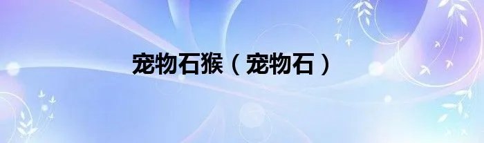 宠物石猴（宠物石）