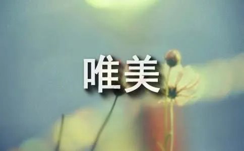 11月你好唯美句子