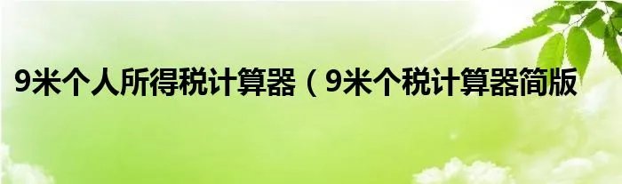 9米个人所得税计算器（9米个税计算器简版