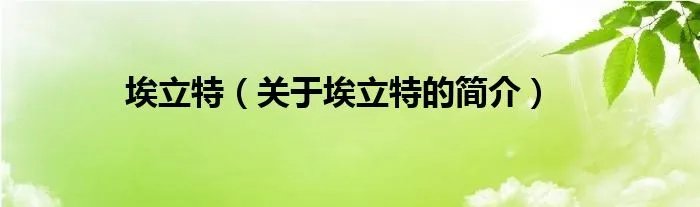 埃立特（关于埃立特的简介）