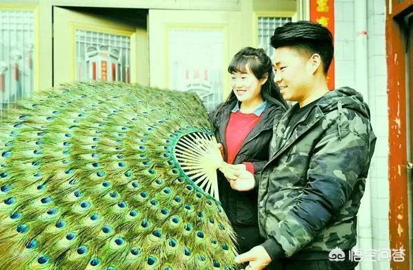 你们农村致富故事有哪些?