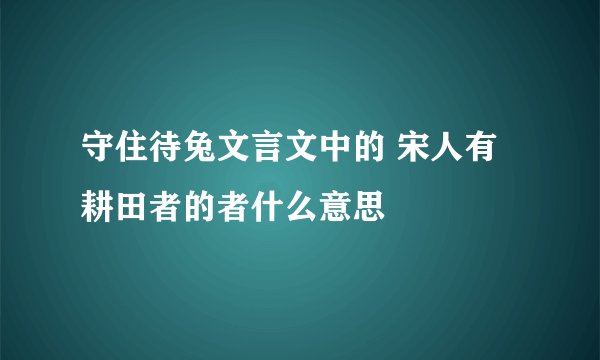 守住待兔文言文中的 宋人有耕田者的者什么意思
