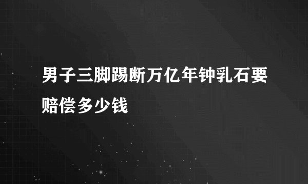男子三脚踢断万亿年钟乳石要赔偿多少钱