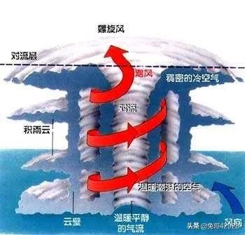 特朗普所说的，使用核弹来阻止飓风登陆的做法真的可行吗？