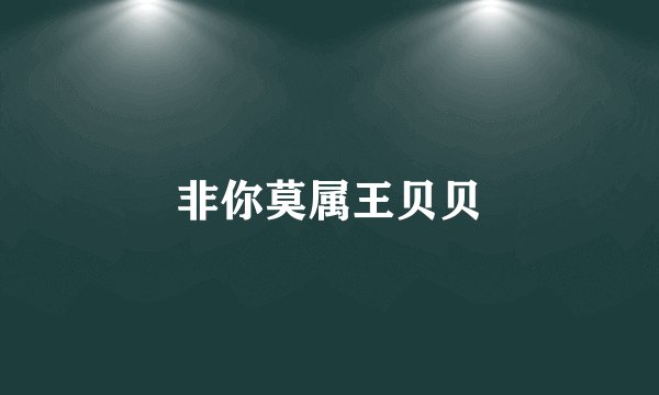 非你莫属王贝贝