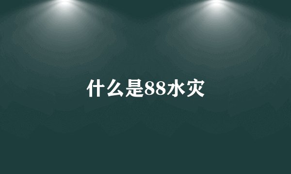什么是88水灾
