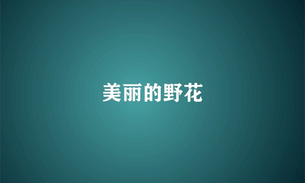 美丽的野花