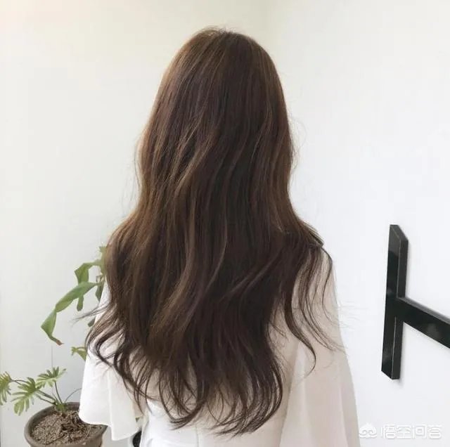 什么牌子的卷发棒比较好?