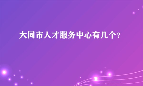 大同市人才服务中心有几个？