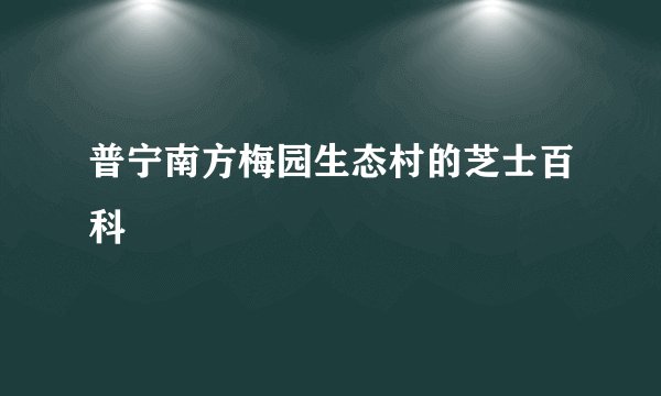 普宁南方梅园生态村的芝士百科