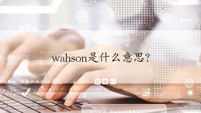 wahson是什么意思？