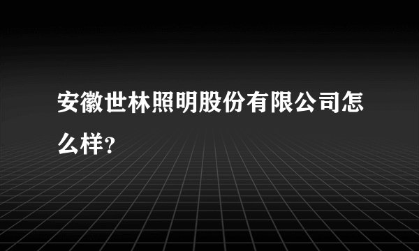 安徽世林照明股份有限公司怎么样？
