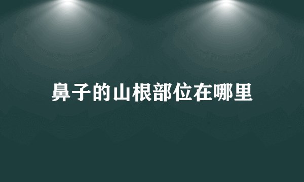 鼻子的山根部位在哪里