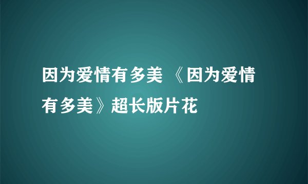 因为爱情有多美 《因为爱情有多美》超长版片花