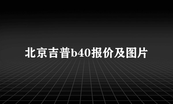 北京吉普b40报价及图片