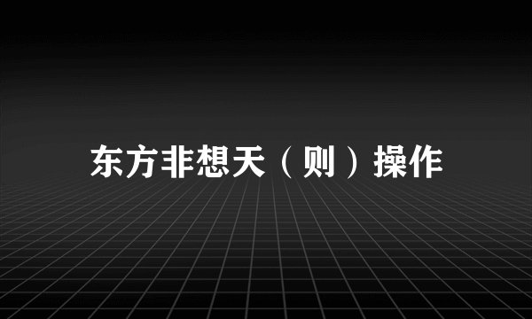 东方非想天（则）操作