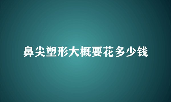 鼻尖塑形大概要花多少钱