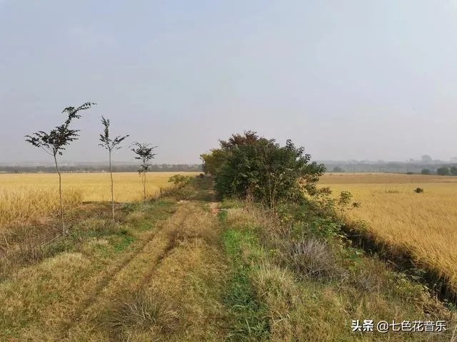 农村过去年代,为什么最容易娶到媳妇的是木匠?