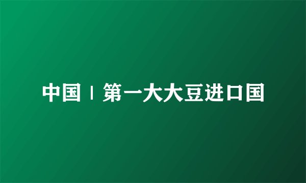 中国｜第一大大豆进口国