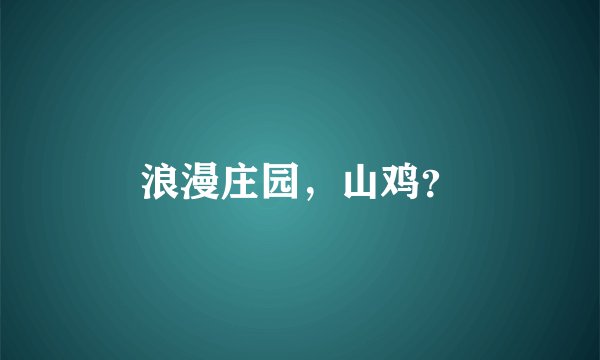 浪漫庄园，山鸡？