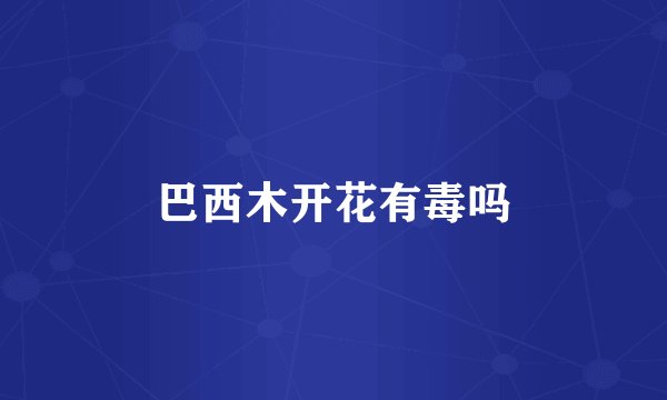 巴西木开花有毒吗